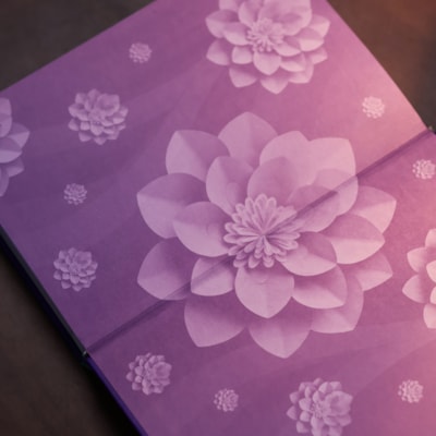 image_ced4723f-08a3-4138-819f-465b88975a6a