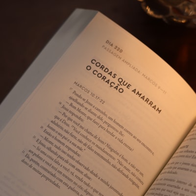 image_695c0c2c-e7f8-4d99-836f-fb11c6cd0015