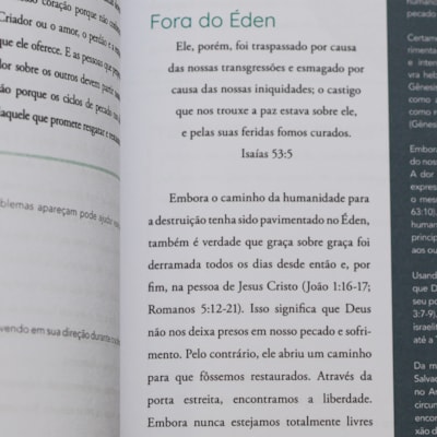 image_2477fc91-4410-4603-9465-9f90be16163c