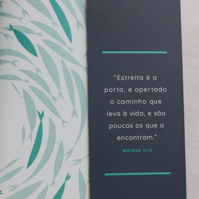 image_d771501c-80b0-4a5b-b782-3d733bbb2d61