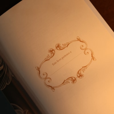 image_6781ce28-036d-45c6-a04f-71fe66cad4f4