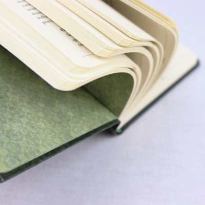 image_26f6ba22-eec1-41a6-967e-938e77b2eb77