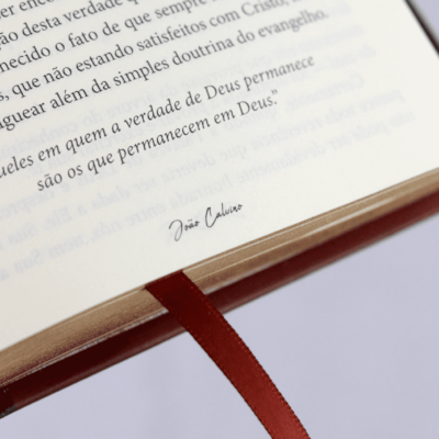 image_3e3a9343-d65a-4051-a983-84a134dccd6a