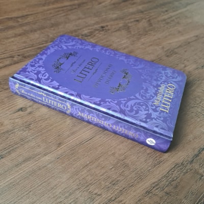 image_b5366529-a694-4395-84bb-59f70468aa8d