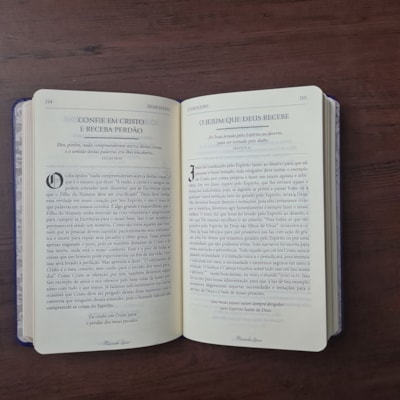 image_7ecfdc16-3d7c-42bd-ad2c-fb2dae3fb94c