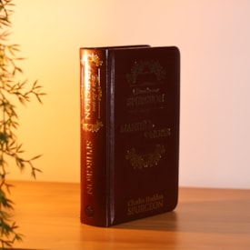 Segunda imagem do produto Dia a Dia com Spurgeon | Devocional | Versão Luxo