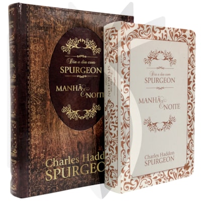 Imagem Principal - 41c5b9c6-d886-48fc-90ba-313101219558