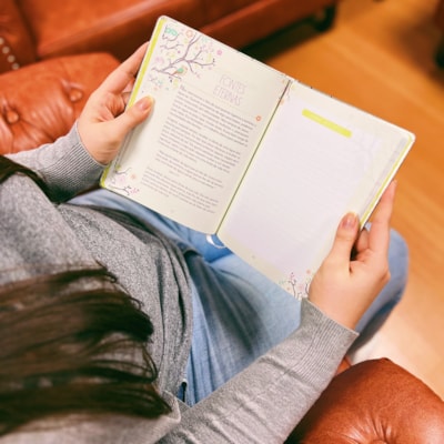 image_73fbb491-c335-4a93-b433-02b05c899988