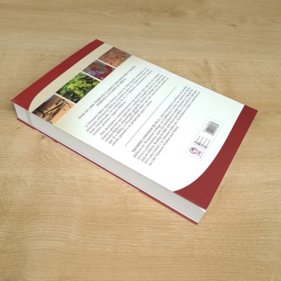 image_0c83185b-9958-4cea-8247-c4521fd20593