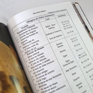 Dicionário Bíblico Ilustrado | Com Panorama e Curiosidades Bíblicas