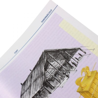 image_7556a9c6-84f4-4efa-8afb-0ef60fb90625