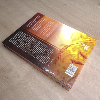 image_99680879-ddc1-4f58-9505-ce857dd345cc