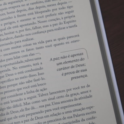 image_88240633-1a72-4768-ab8f-b3ada8d8be0c