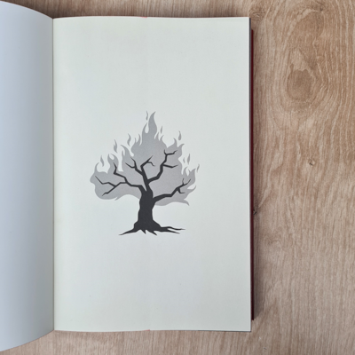 image_cc3b6de3-a68c-482c-bae7-8a9e8e3b00f5