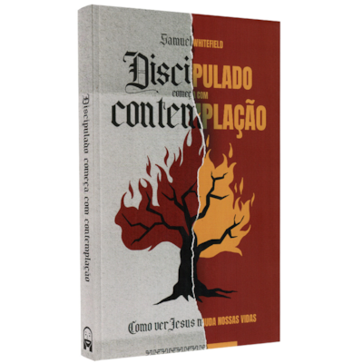 Imagem Principal - 91262a7a-9e9f-400d-8082-805d8f890d52