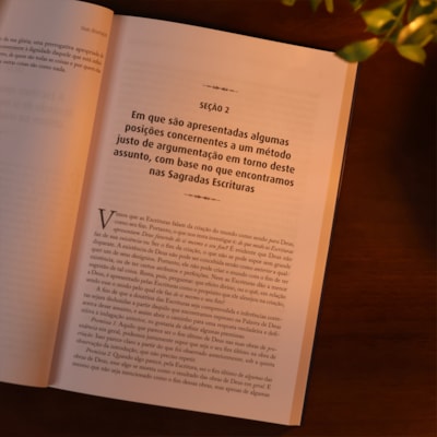 image_1ba4d8a7-30f7-4f57-a28c-07252646acf5