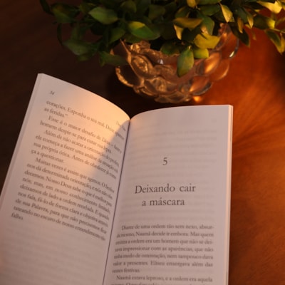 image_45cec285-9232-4e02-85db-75b62253d403