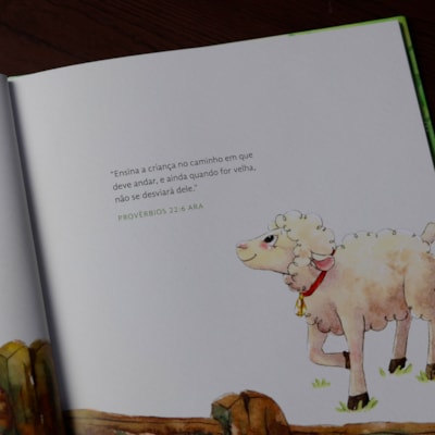 image_27e09e89-c3fc-4ee7-bdde-943519fba20f