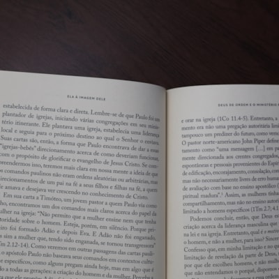 image_97a49f17-dcae-42b4-9ccb-4e3bf2320496