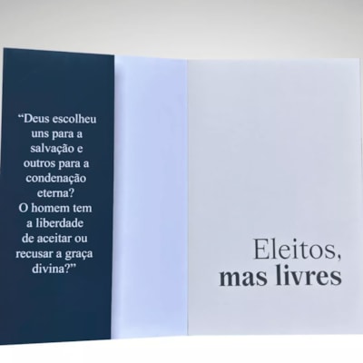 image_ed429079-0d73-4323-bc19-1e69d9f399cf