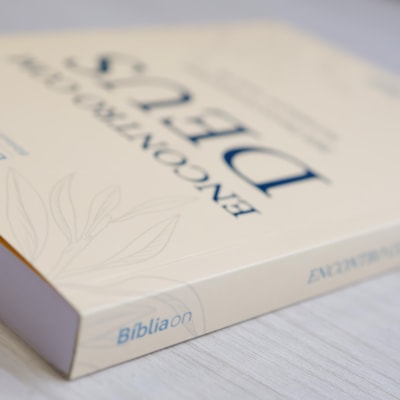 image_10af6bed-2cae-4f91-9aa4-11debc6b829d