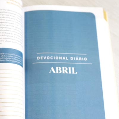 image_1ccad049-2413-4d24-8ee6-0b76c3f5f368