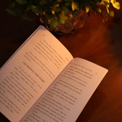 image_45b32d7d-f918-4e09-a77a-217454dcf03b