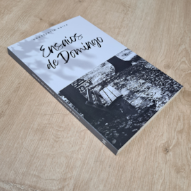 Segunda imagem do produto Ensaios de Domingo | Constain Noica