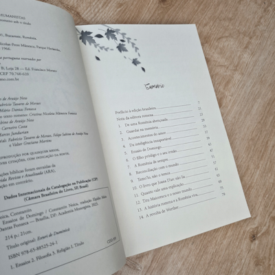 image_e2d179b1-6282-4f72-ba38-44d36a159fe0