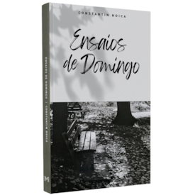 Ensaios de Domingo | Constain Noica