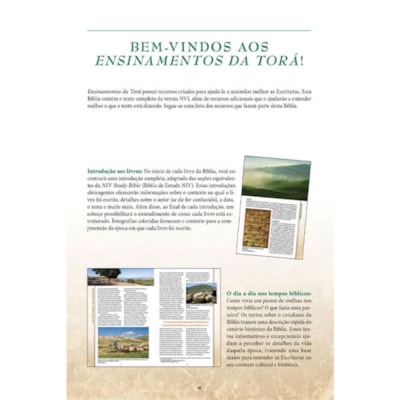 image_8e9e71de-b426-4453-9bf6-6debcf58781b