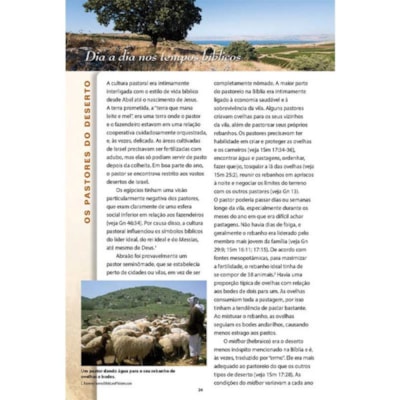 image_aa033751-2188-41ca-98db-acff39d730f4