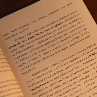 image_5fd6cff2-17b7-4d00-875a-d453841d0286