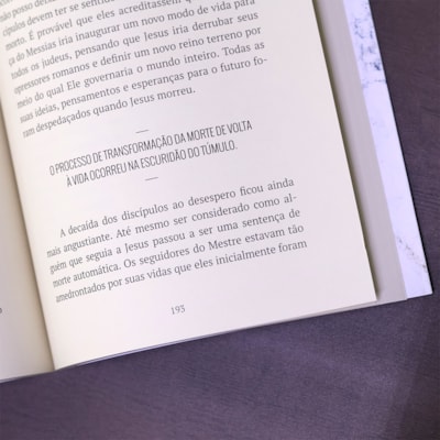 image_ff4b71e1-10e6-4a44-875e-5c55a03f80c4