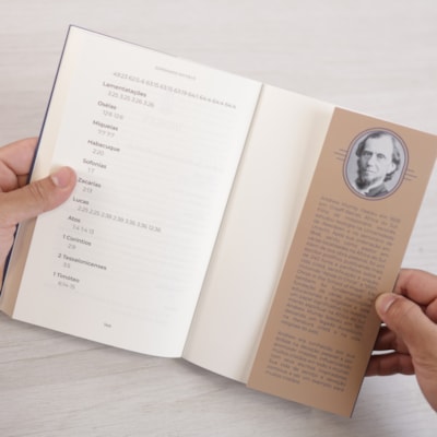 image_79310bd0-1cf8-4f98-b6c0-6ed6017606b9