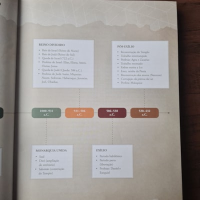 image_248555fc-9288-4959-bdfe-c6df9d297397