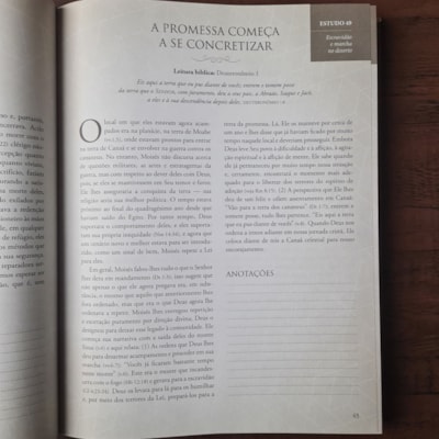 image_558b1642-4fc2-44d7-ae33-ce3562e92058