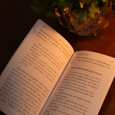 image_5e2c8b6e-dd92-4029-848d-f0d969168187