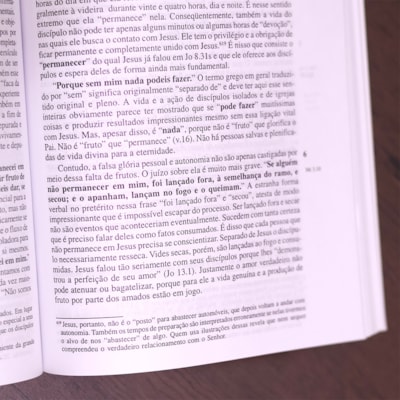 image_2a2d6fdd-e367-41bf-ad1f-6cdfb1357a6c