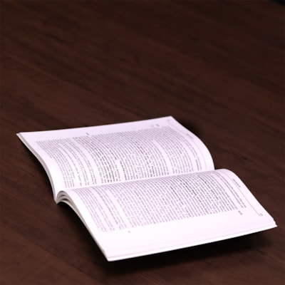 image_b905aeb5-f2fc-419b-a2b0-c5916f0837cf