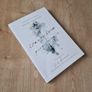 Segunda imagem do produto Evangelismo Puro e Simples | Randy Newman