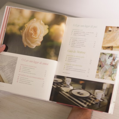 image_3fc0d324-b229-4559-a91a-f951ab63fb55