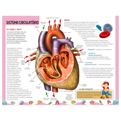 image_dd86c2f2-3554-4726-8dc5-9b497dc84796