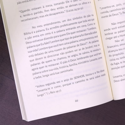 image_a111a42f-9d13-45b2-b1cd-a1584da83558