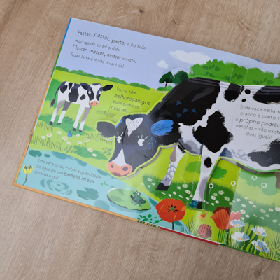 image_12dceaf8-888c-423a-9b03-b0194c41b008