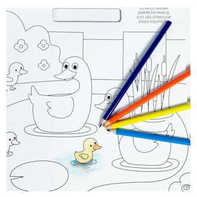 image_ba310485-e82e-4c68-8dc2-a7111f8667dc