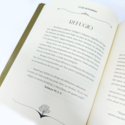 image_04ef41c6-dd47-4278-b7d2-309e1e275214