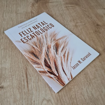 image_e28e89d8-5055-432f-a49a-638fe439ed57