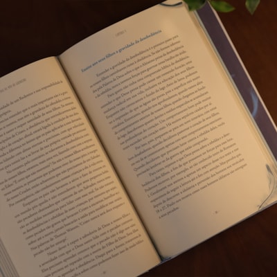 image_b95391b5-1eeb-4434-9a01-6e2875a0c643