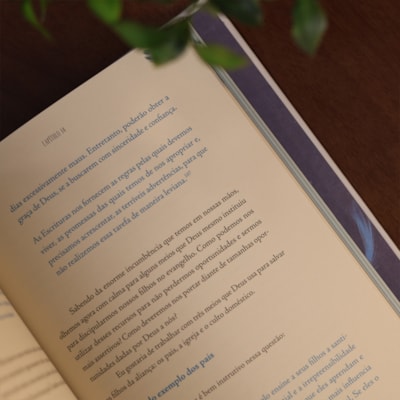 image_7724c9df-dea3-4198-8a16-39b9c421c005